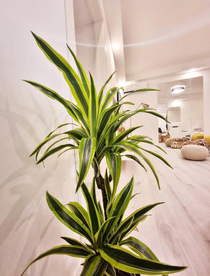 Apartamento Un Ami Pula Exterior foto